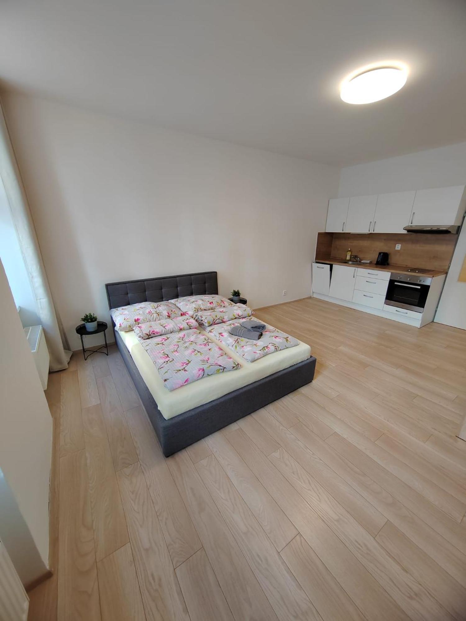 Apartia Vlhka 26, Brno-Center Extérieur photo