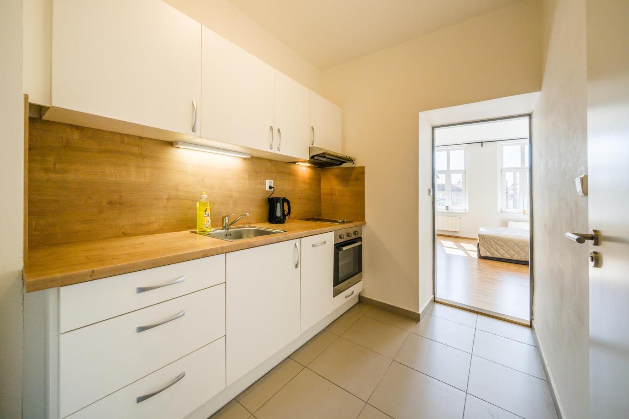 Apartia Vlhka 26, Brno-Center Extérieur photo